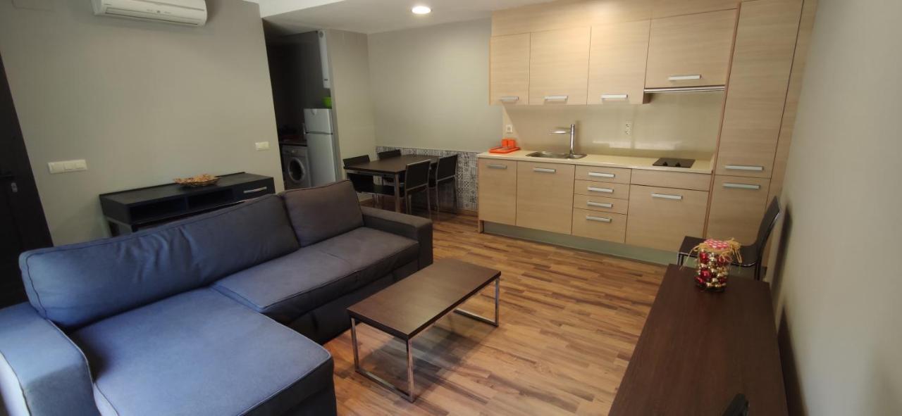 Apartaments La Farga Arbúcies Екстериор снимка